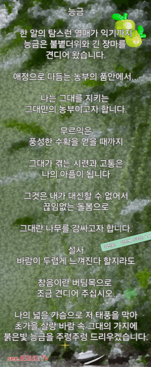 능금.gif